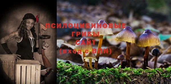 метамфетамин Верея